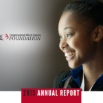 2013 annual report cover
